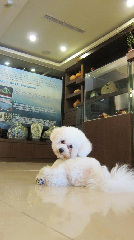 客至軒一館 Città di Hualien Esterno foto